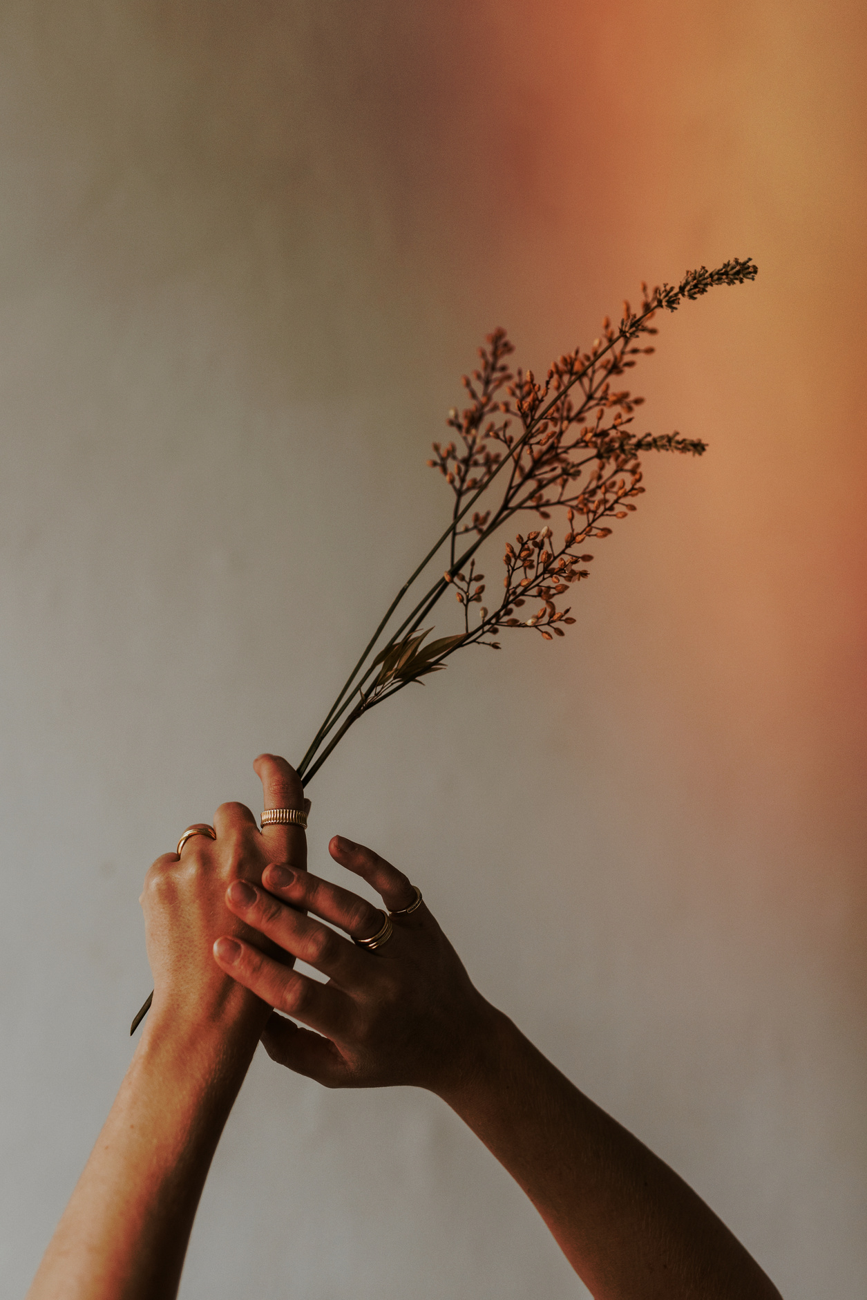 Aesthetic hands with flowers, beige background